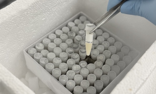 Doctors working with test samples